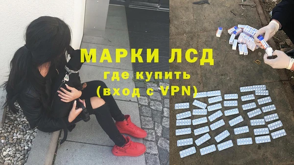 эйфоретик Няндома