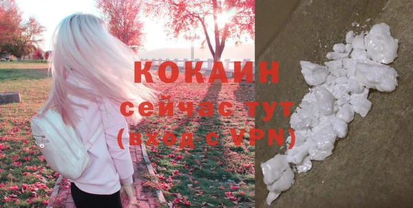 эйфоретик Няндома
