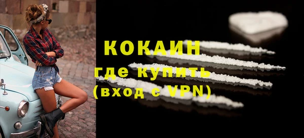 эйфоретик Няндома