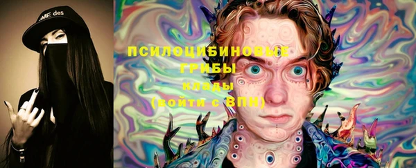 эйфоретик Няндома