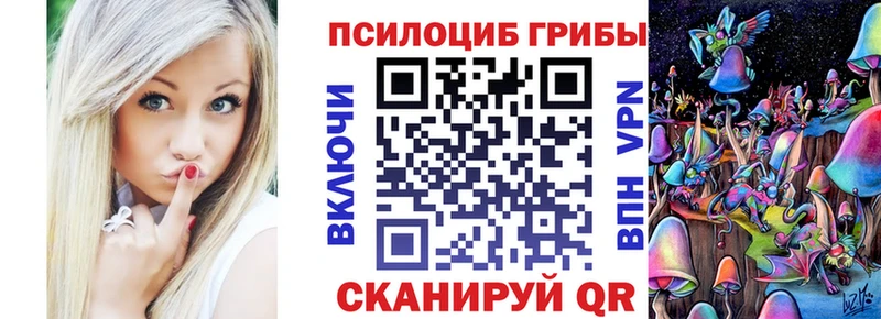 Псилоцибиновые грибы Psilocybe  Лабытнанги 